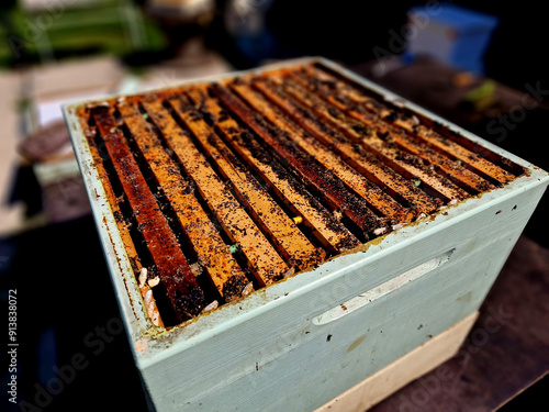 wax curler occurs in a hive that is well controlled by bees, it usually has no chance. attacks unoccupied work by bees. avoid storing dark combs. In this way, you will not only reduce the risk of  photo