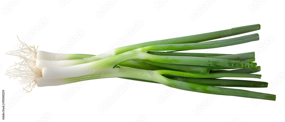 Green onion isolated on a transparent background. Green onion isolated on a transparent background.