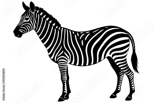 zebra vector, zebra icon, silhouette of zebra croosing vector illustration photo