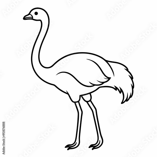 Ostrich Bird Icon Vector Illustration - Cartoon, Clipart, and Line Art Design