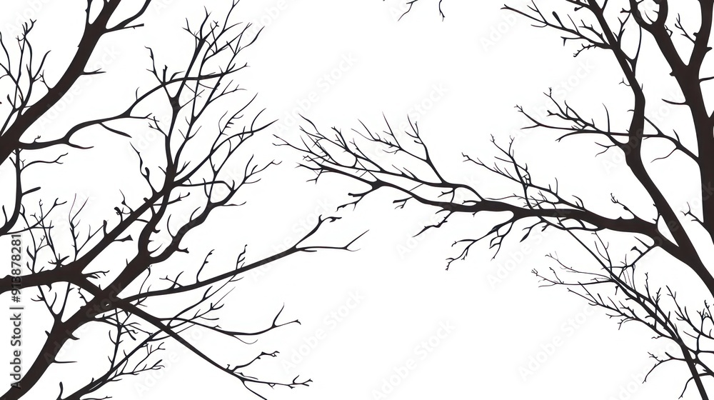 Obraz premium tree branches without leaves on a white background