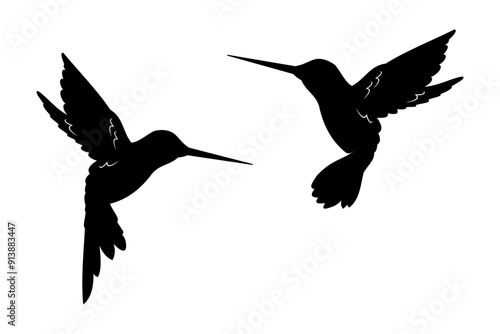 hummingbird vector