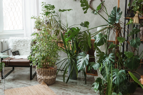 Fototapeta Naklejka Na Ścianę i Meble -  A fragment of the interior with a variety of indoor plants and plaster sculptures. Urban jungle concept. Biophilia design.