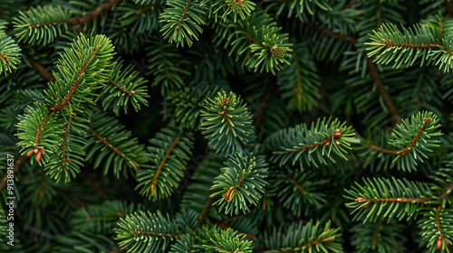 An infinite pine needle texture, featuring a dense, seamless pattern of green pine needles. The texture captures the natural