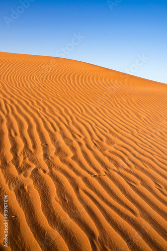 Obraz na płótnie Struktur der Namib w salonie