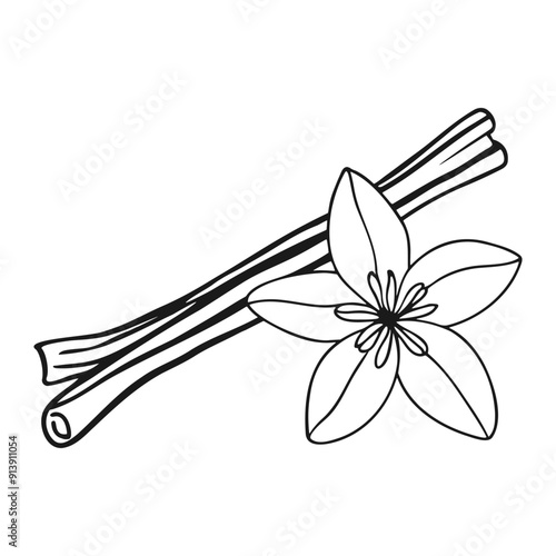 Cinnamon sticks and vanilla flower doodle outline drawing on white background