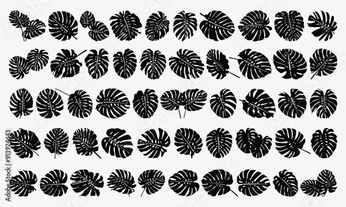 Monstera Leaf Silhouette Bundle, Monstera Leaf Different Shapes Silhouette Set, Handmade Calligraphy Vector Illustration.