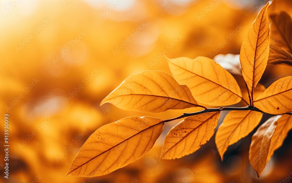 Fototapeta premium Autumn leaves in a sunny day. Generative Ai