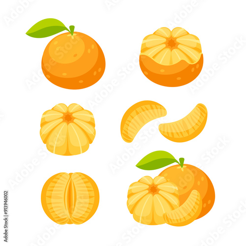 Mandarin, clementine. Fresh mandarin in slices and cut in half.