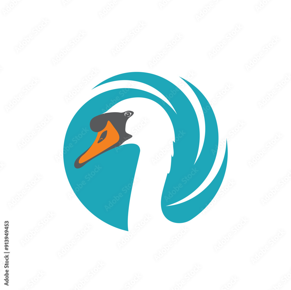 illustration of Swan, bird of the genus Cygnus, vector art. illustration of Swan, bird of the genus Cygnus, vector art.