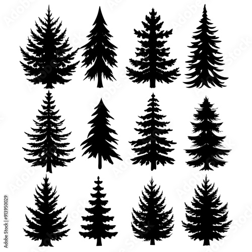 Elegant pine tree silhouettes on a clean, white background
