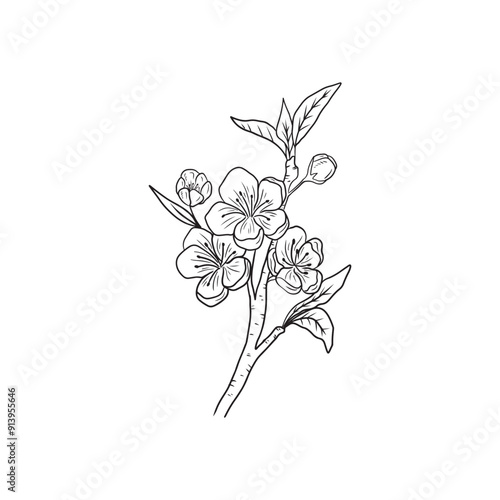 Beautiful realistic branch of cherry blossom with flowers and buds in black isolated on white background. Hand drawn vector sketch illustration in doodle engraved vintage line art style. Icon, logo