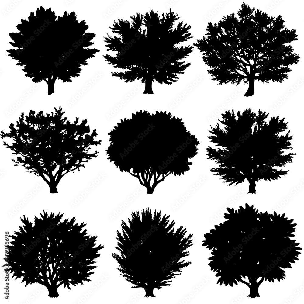 A collection of beautiful silhouettes of trees on a white background A collection of beautiful silhouettes of trees on a white background
