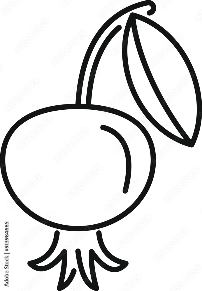 Simple line drawing of a cranberry, perfect for representing health, food, or nature Simple line drawing of a cranberry, perfect for representing health, food, or nature