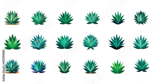 Agave Plant: Stunning Illustrations and Vector Art for Design