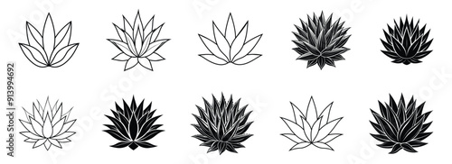 Agave Plant: Stunning Illustrations and Vector Art for Design