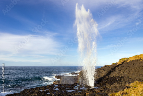 Canvas-taulu The famous Little Blowhole located in the scenic coastal town of Kiama in New South Wales Australia, spouting water high into the air with natural ocean force