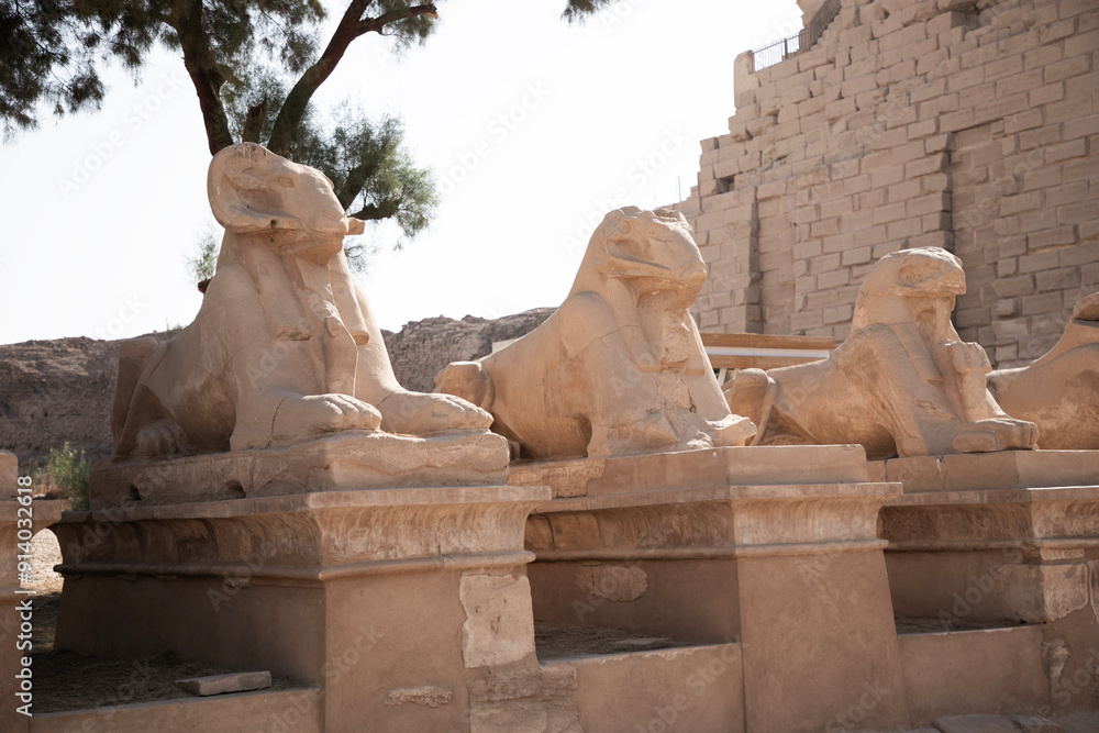 Beautiful view of ram sculptures in ancient Karnak Temple in Luxor, Egypt