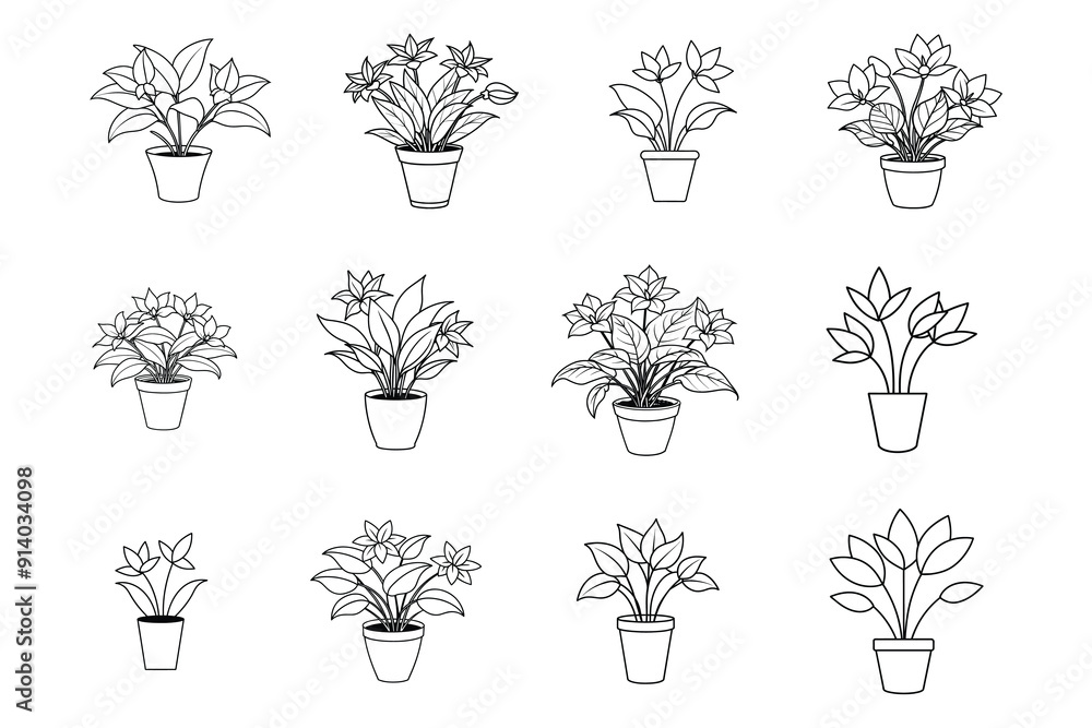 Versatile Indoor Plant Flower Graphics: Ideal for Print and Digital Media Versatile Indoor Plant Flower Graphics: Ideal for Print and Digital Media