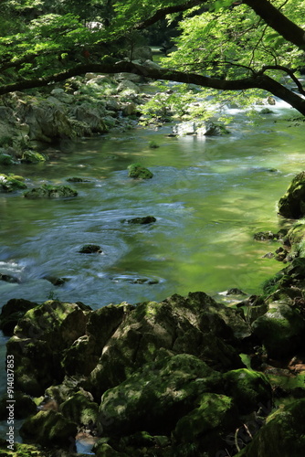 小田深山渓谷 水面を彩る緑 (愛媛県）