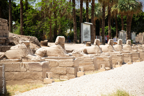 Obraz na płótnie Beautiful view of the sphinx sculptures in ancient Luxor Temple in Luxor, Egypt w salonie
