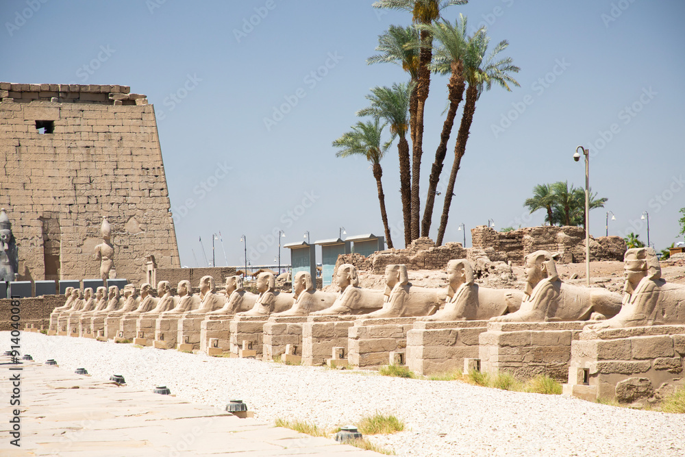 Beautiful view of the sphinx sculptures in ancient Luxor Temple in Luxor, Egypt