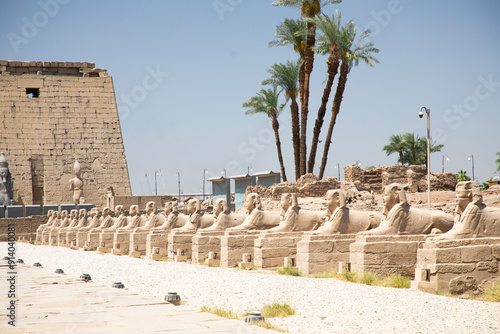 Obraz na płótnie Beautiful view of the sphinx sculptures in ancient Luxor Temple in Luxor, Egypt w salonie