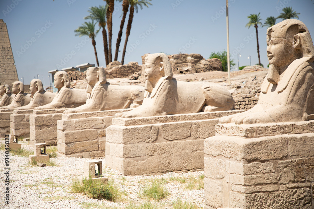 Beautiful view of the sphinx sculptures in ancient Luxor Temple in Luxor, Egypt