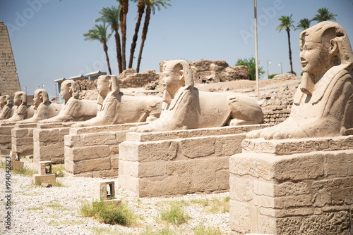 Obraz na płótnie Beautiful view of the sphinx sculptures in ancient Luxor Temple in Luxor, Egypt w salonie