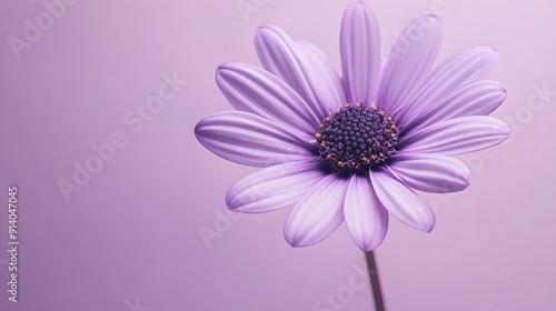 Single purple daisy flower, soft lavender petals, dark purple center, pale purple background, minimalist composition, clean aesthetic, gentle gradient lighting, pastel tones.