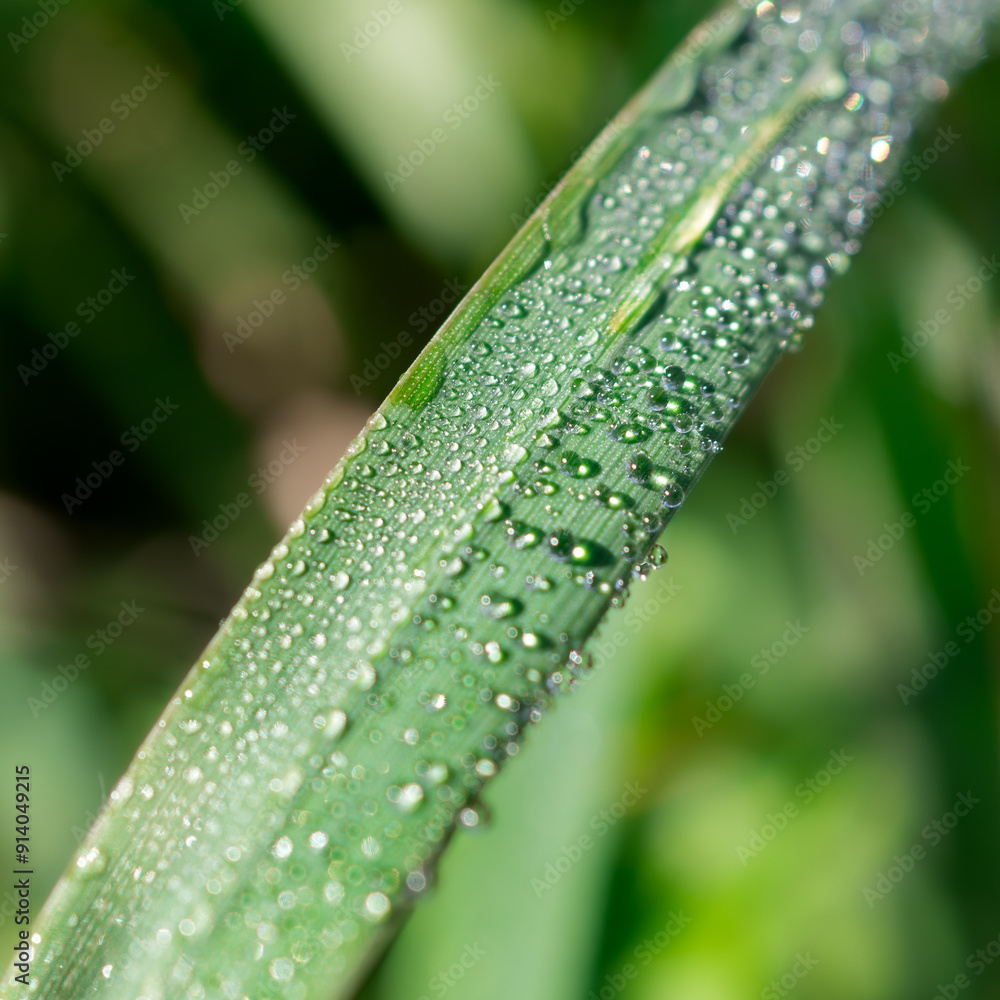 water drops on a leaf water drops on a leaf