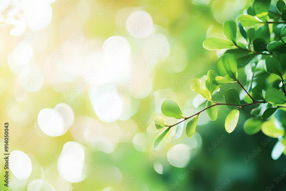 A close up of green leaves with a blurred background and copy space for your text in the spring season,eco-friendly,environment ecology concept. A close up of green leaves with a blurred background and copy space for your text in the spring season,eco-friendly,environment ecology concept.