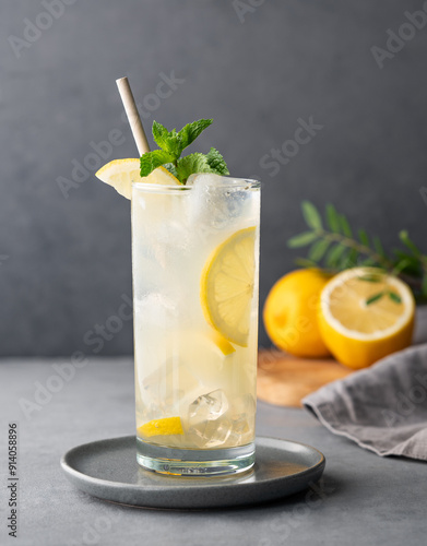 Freshness mojito drink with lemon, mint and ice. Citrus lemonade on a dark background with napkin and fruits.