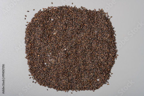 top view herb YanCheQianZi or Plantaginis Semen or Salty Asiatic Plantain Seed on grey background photo