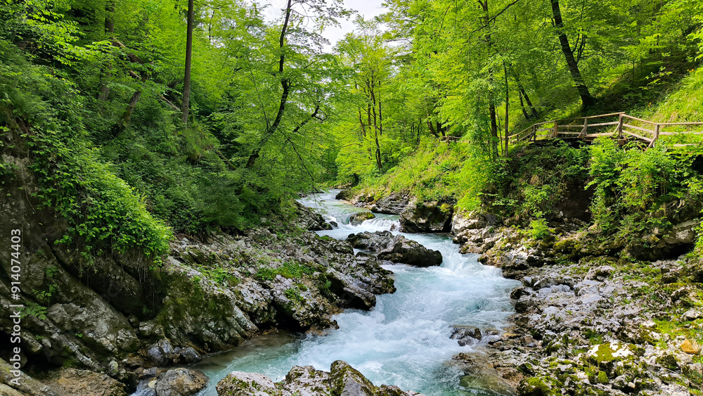 Vintgar Gorge, Slovenia, in bright spring day Vintgar Gorge, Slovenia, in bright spring day