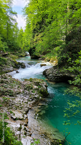 Vintgar Gorge, Slovenia, in bright spring day