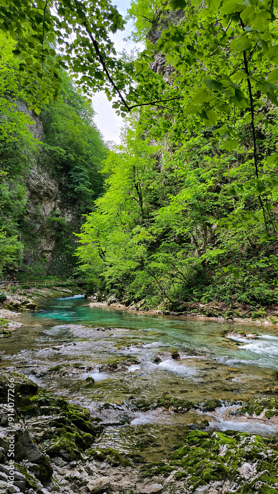 Vintgar Gorge, Slovenia, in bright spring day Vintgar Gorge, Slovenia, in bright spring day