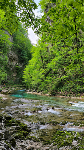 Vintgar Gorge, Slovenia, in bright spring day
