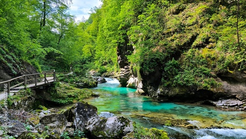 Vintgar Gorge, Slovenia, in bright spring day