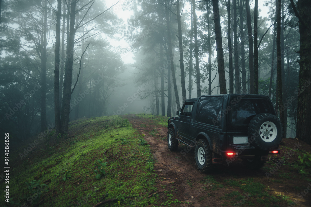 Off-road vehicles in the foggy forest Off-road vehicles in the foggy forest