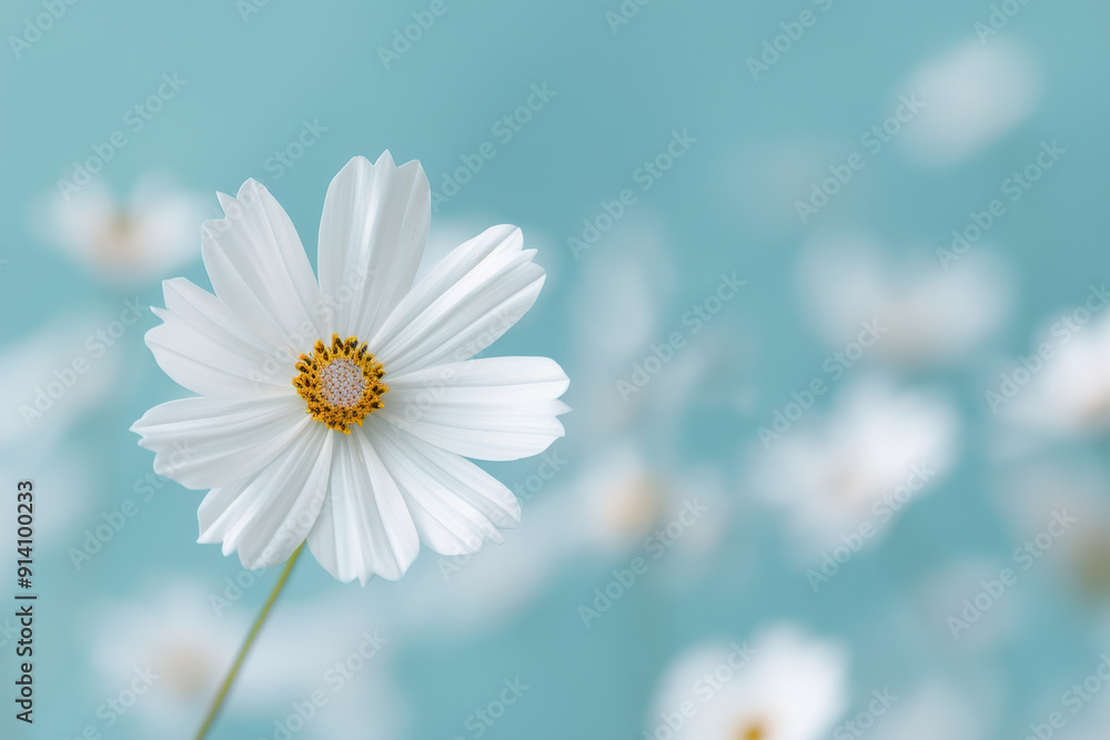 Obraz premium Delicate white flower in full bloom against a soft blue background, with blurred petals enhancing the dreamy, tranquil atmosphere.