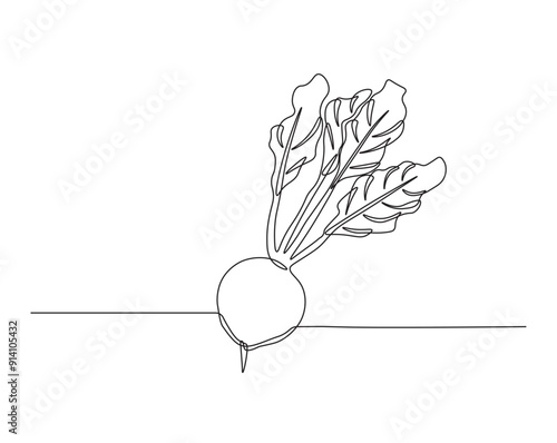 One continuous line drawing radish vegetable -  raphanus sativus. radish single line illustration.