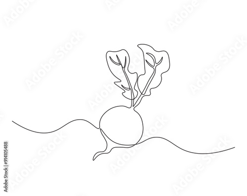One continuous line drawing radish vegetable -  raphanus sativus. radish single line illustration.