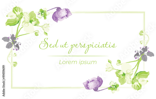 Fully colored flowers are put on a rectangular frame on a white background. Frame made from the African violets blossoming plant parts. Floral frame for any design ideas.