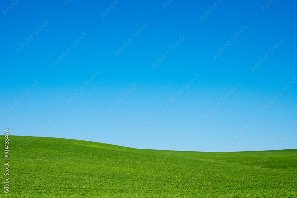 A serene and expansive green grass field stretches under a bright blue sky offering a peaceful natural backdrop. A serene and expansive green grass field stretches under a bright blue sky offering a peaceful natural backdrop.