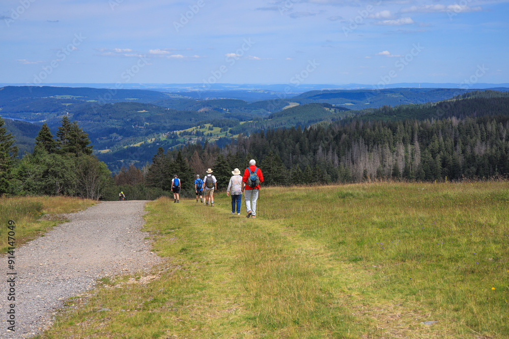 Hiking way back from the Feldberg, High Black Forest - Germany Hiking way back from the Feldberg, High Black Forest - Germany