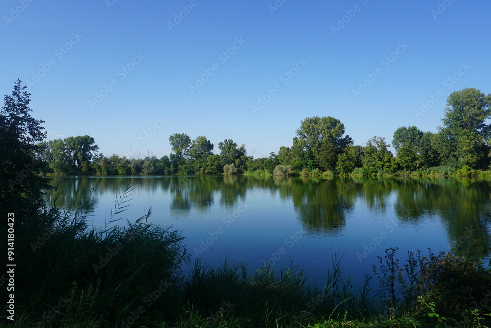 Fototapeta premium lake and trees