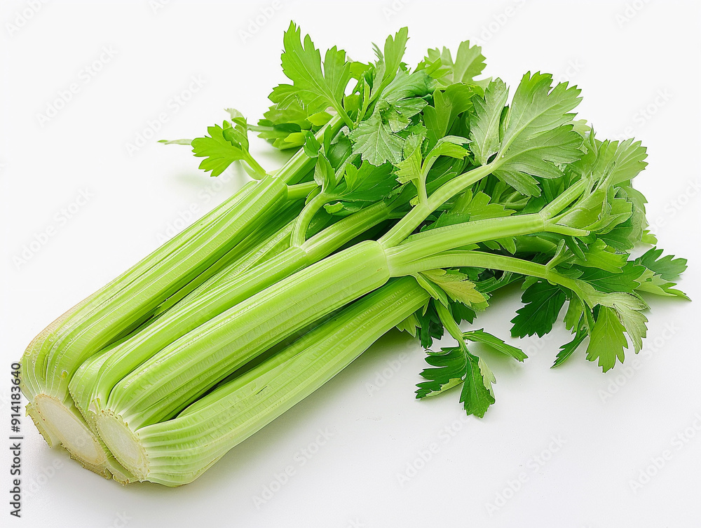 Freshly Harvested Green Celery Bunch With Crisp Stalks and Vibrant Leaves Freshly Harvested Green Celery Bunch With Crisp Stalks and Vibrant Leaves
