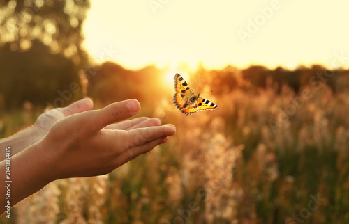 Photography flying butterfly and human hands on abstract sunny natural background