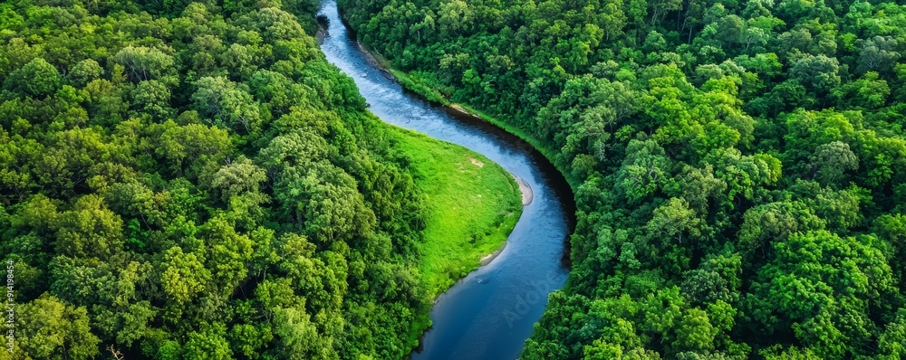 Aerial View of a Serpentine River Winding Through a Lush Green Forest Aerial View of a Serpentine River Winding Through a Lush Green Forest